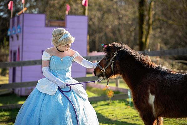 Island Princess Parties