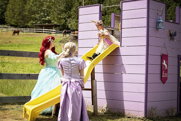 Island Princess Parties