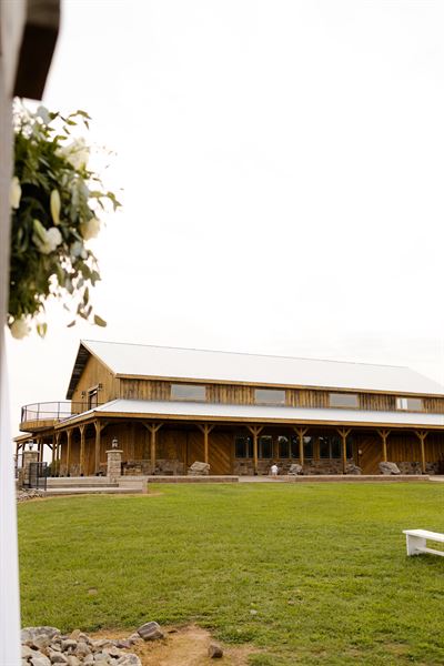Meadow On The Mountain
