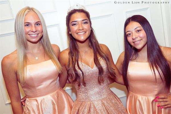 Golden Lion Photography