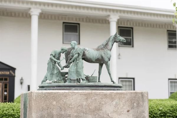 The Thoroughbred Center