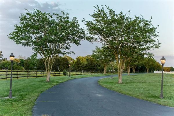 The Venue at Denali Jean Ranch