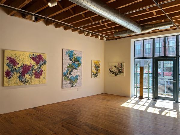 Chase Young Gallery