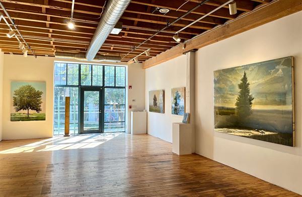 Chase Young Gallery
