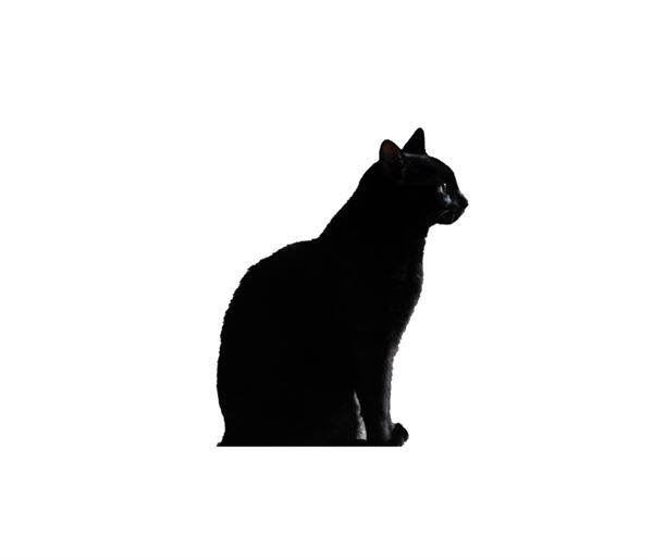 Johnny Johnson Photos