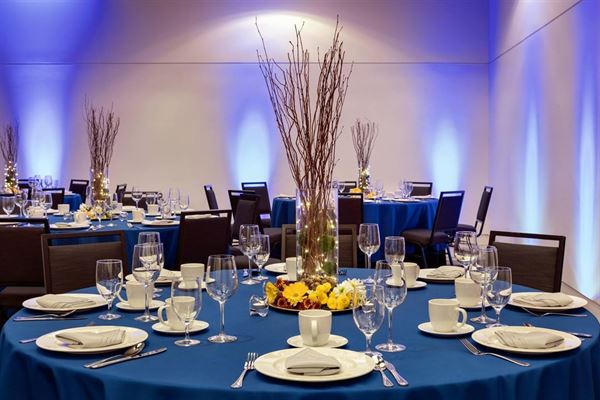 Hotel Indigo Atlanta Downtown