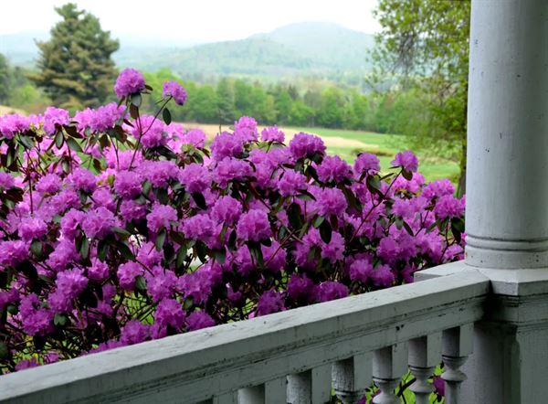 The Barns at Edgemont Inn