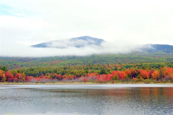The Inn at East Hill Farm