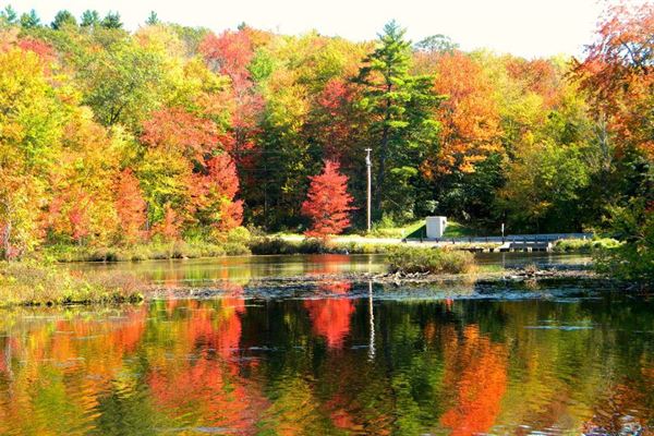 The Inn at East Hill Farm