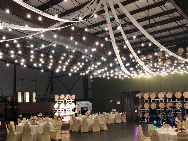 Bacchus Winemaking Club