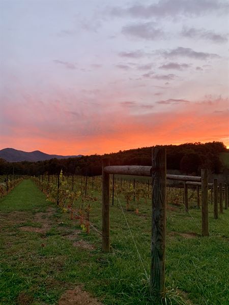 Living Water Winery & Vineyard