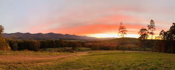 Living Water Winery & Vineyard