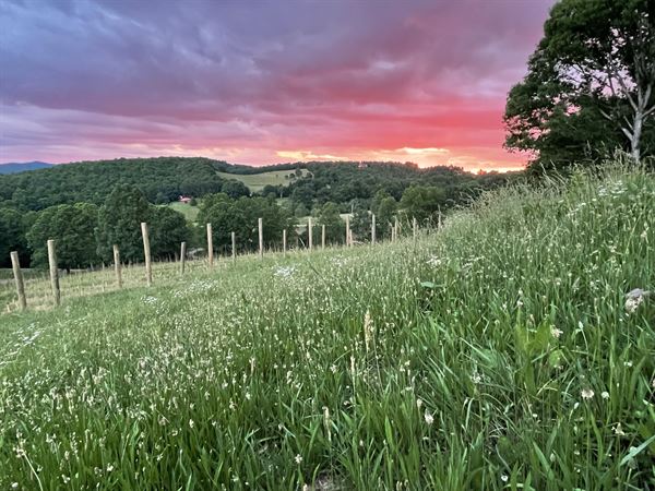 Living Water Winery & Vineyard