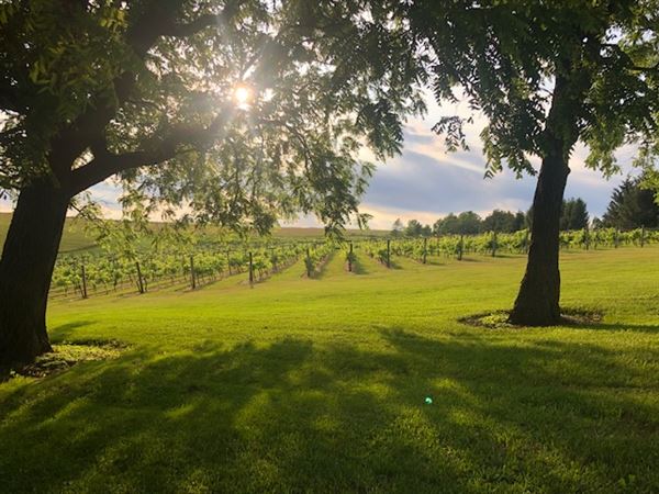 Botham Vineyards & Winery