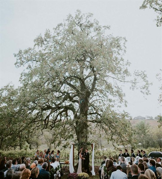 Botham Vineyards & Winery