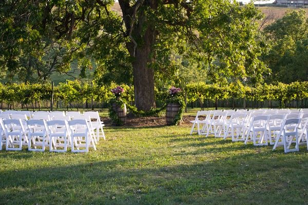 Botham Vineyards & Winery