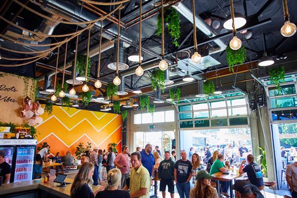 Local Roots Kombucha