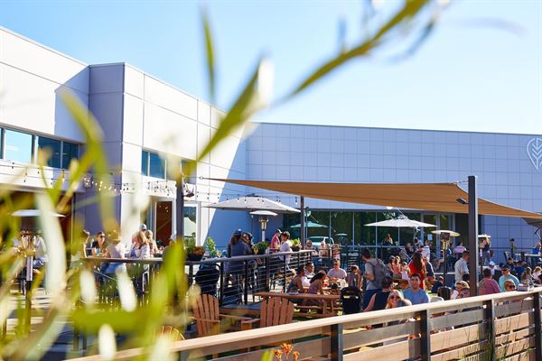 Local Roots Kombucha