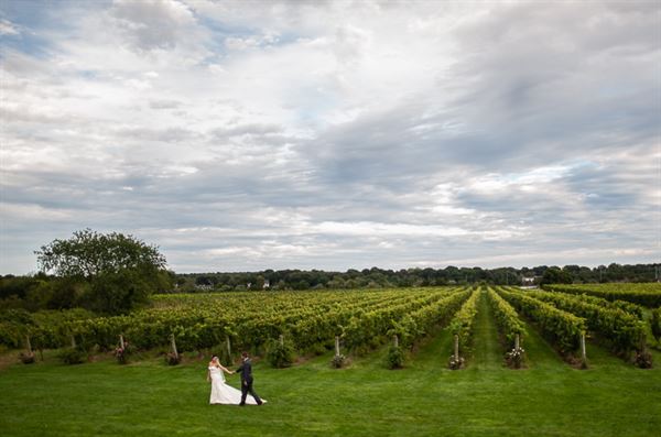 Saltwater Farm Vineyard