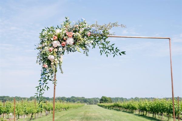 Saltwater Farm Vineyard