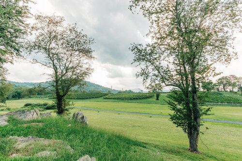 Chapelle Charlemagne Vineyards