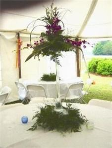 Flowers In The Forest