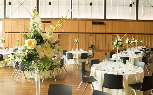 University of Massachusetts Amherst