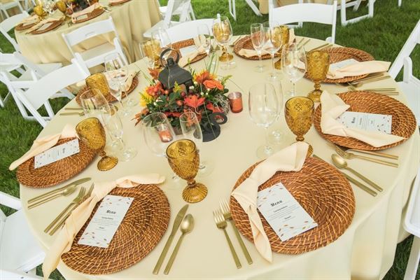 University of Massachusetts Amherst