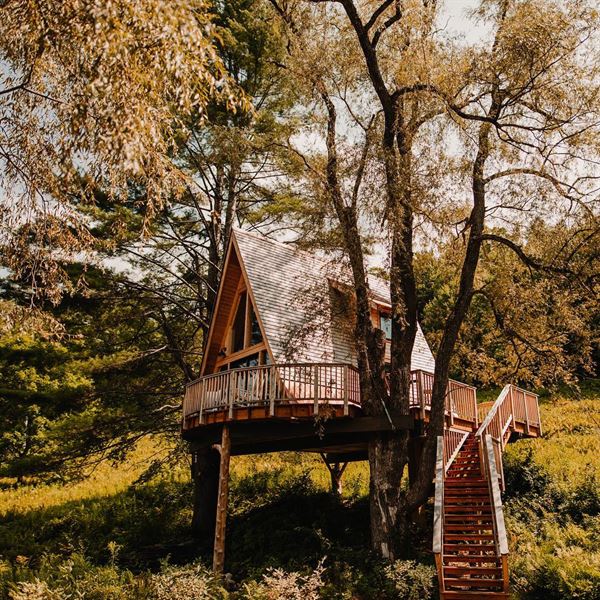 Treehouse Village Inn