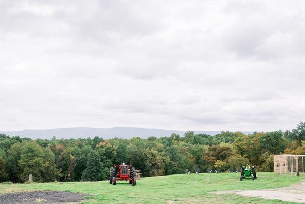 Thompson Ridge View Farm