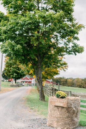 Thompson Ridge View Farm
