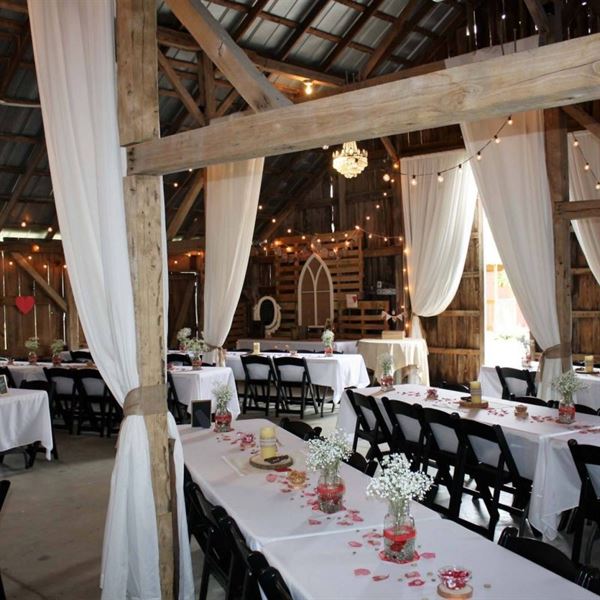 The Barn at Cosgray Christmas Trees