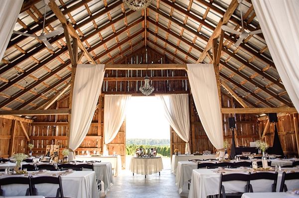 The Barn at Cosgray Christmas Trees