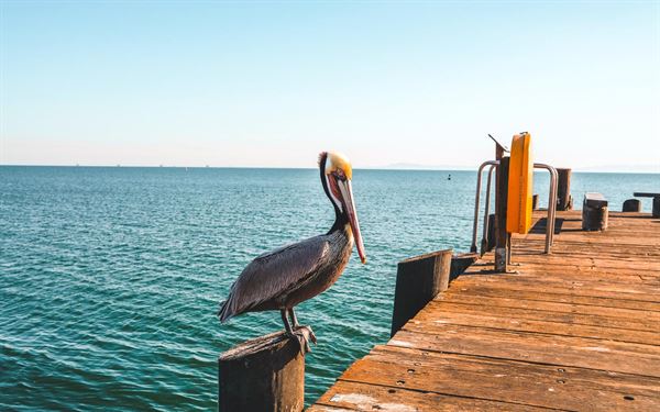 Riviera Beach House Hotel