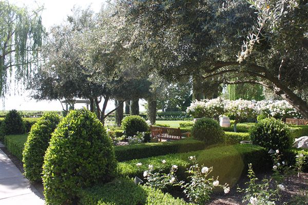 Ponte Family Estate Winery