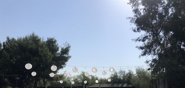 Enchanted Moments by Roses