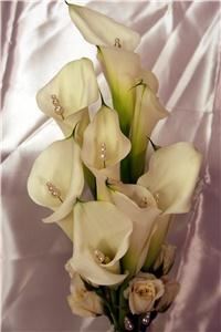 Flowers In The Forest