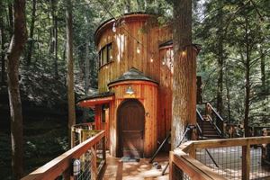 Hemlock Treehouse