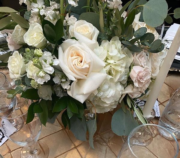 Ashley Allen Murphy Designs