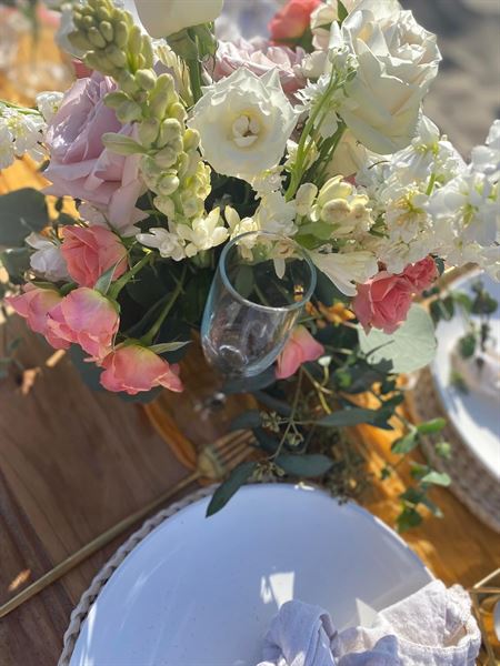 Ashley Allen Murphy Designs