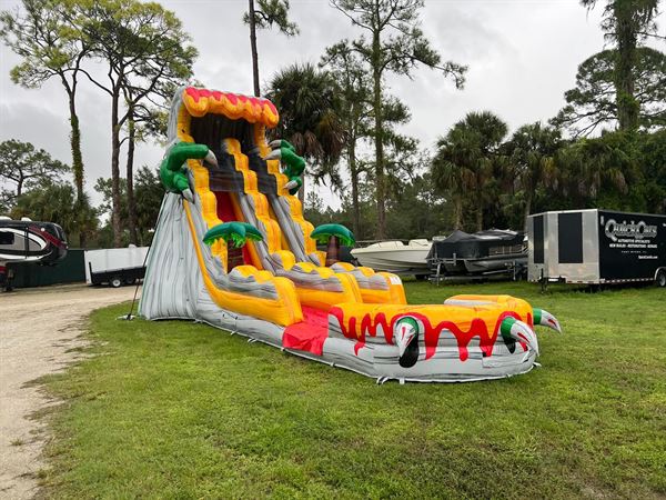 Whale Bounce Together