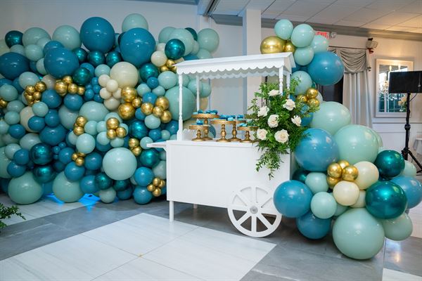 IDEAL PARTY STYLIST LLC