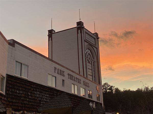 The Historic Park Theatre