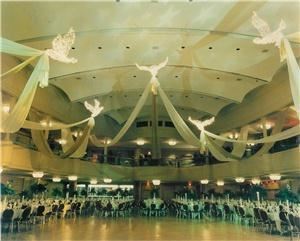 Designs Of Distinction