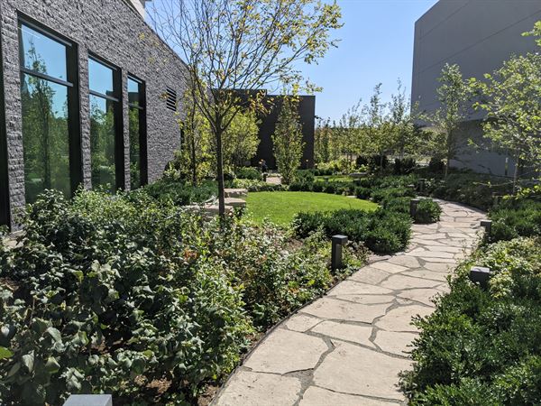 The Study at University of Chicago