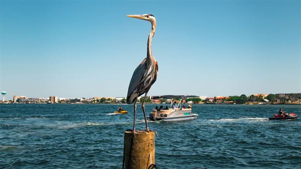 Beach Weekend Marina