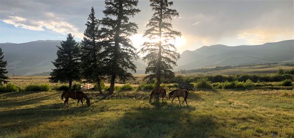 The Hay Loft at Creede