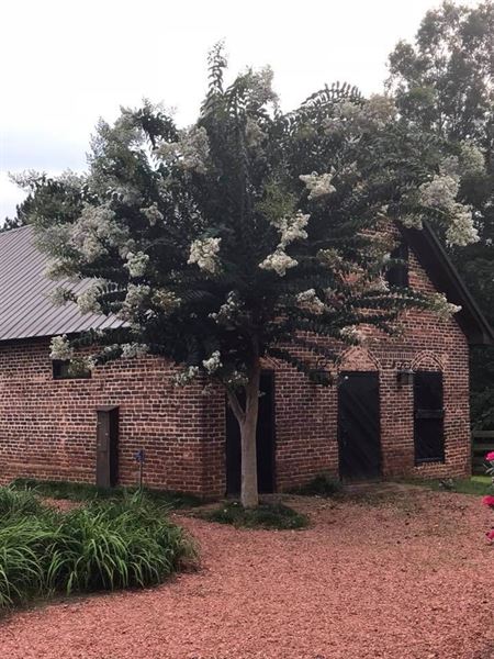 The Whiskey Bonding Barn
