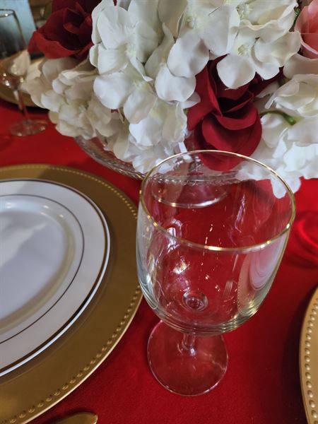 Franasonic Events Management, LLC