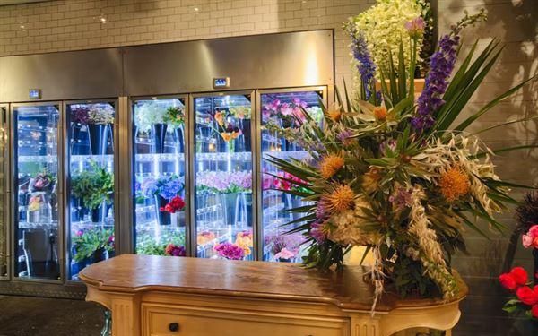 Machine: Engineered Dining and Drink